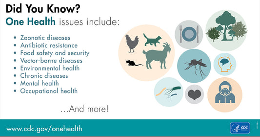 July 6 | International Zoonoses